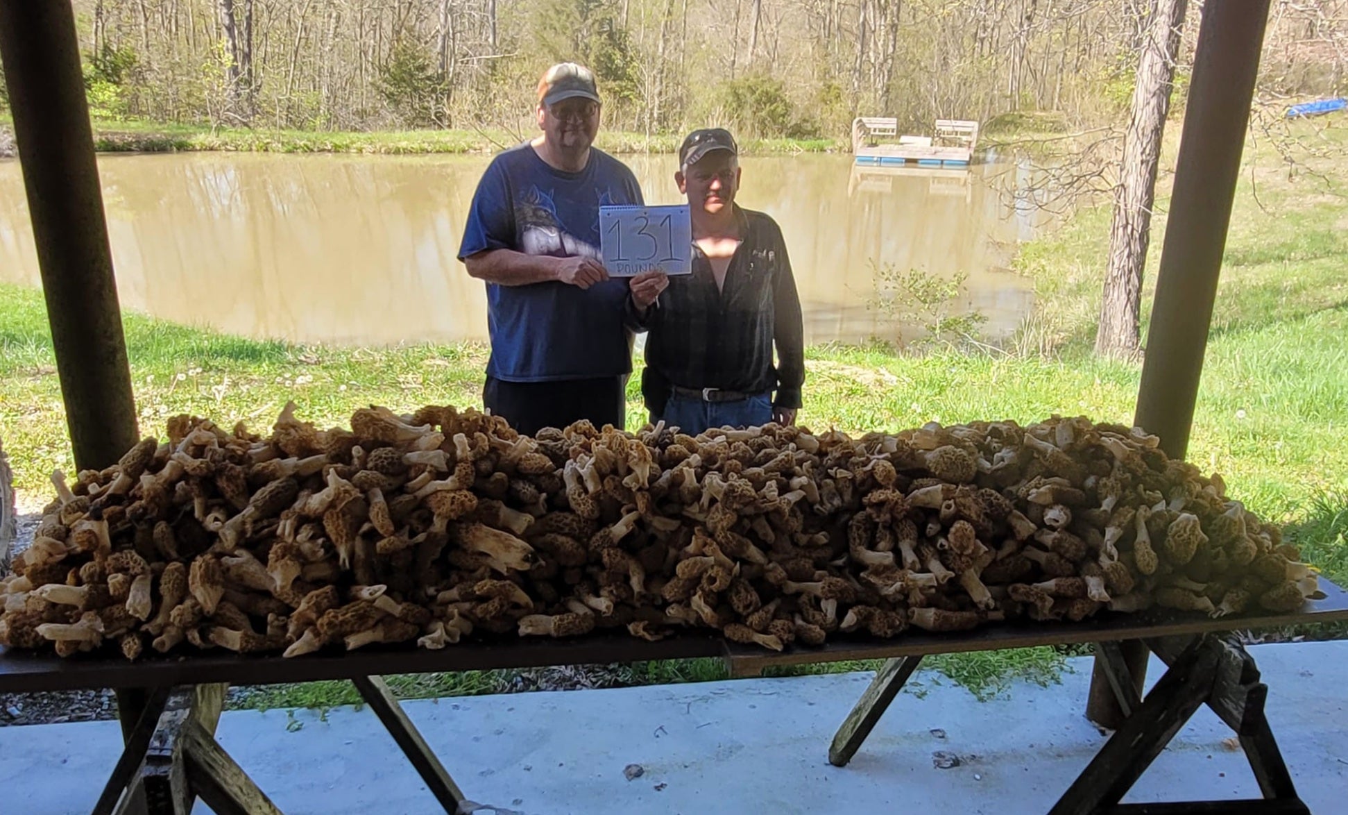 Two Iowa Men Find Nearly 200 Pounds of Morels