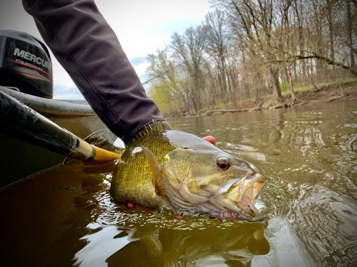 Pro Tips: How to Catch Smallmouths Year-Round