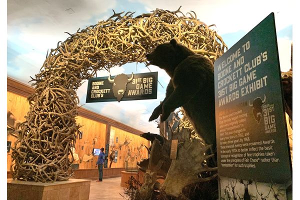 Boone and Crockett Club Judges Panel Completes Scoring Process, 31st Big Game Awards Display Open at Wonders of Wildlife Museum