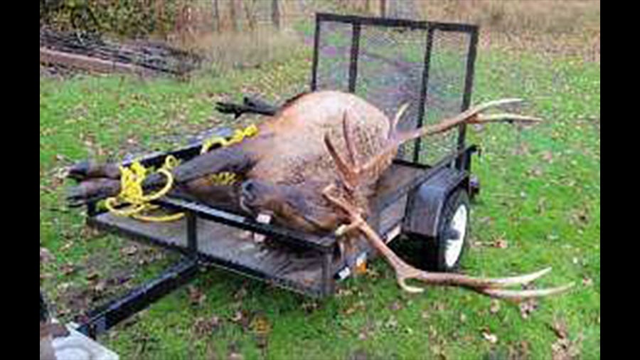 Oregon Bull Elk Poachers Busted After Social Media Post