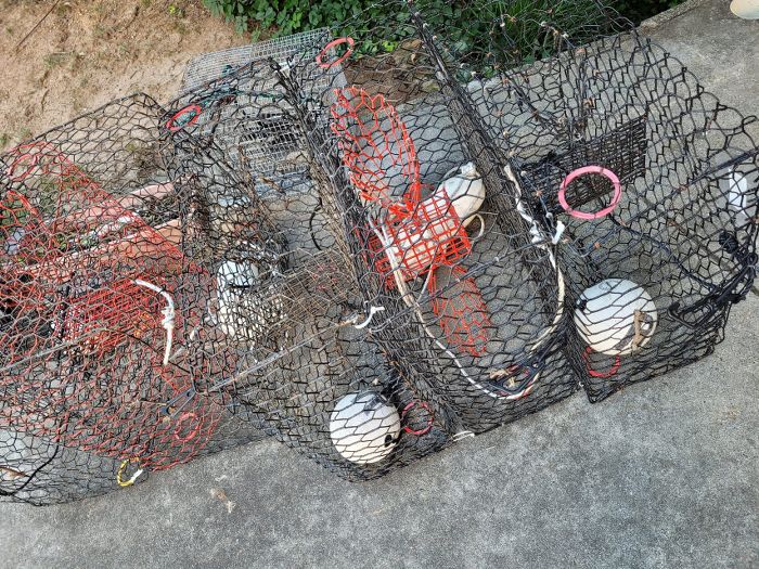 Blue Crab Trapping in Florida