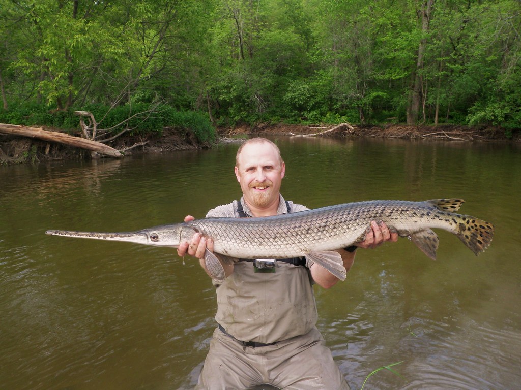 Pro Tips: How to Fly Fish for Longnose Gar