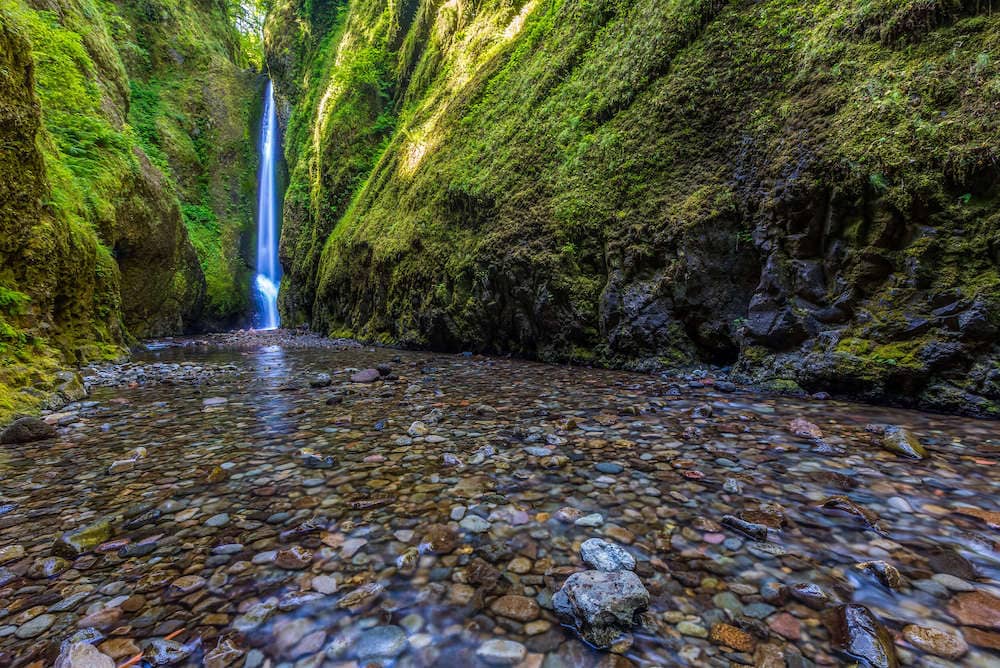7 Best Hikes in Portland, Oregon – Bearfoot Theory