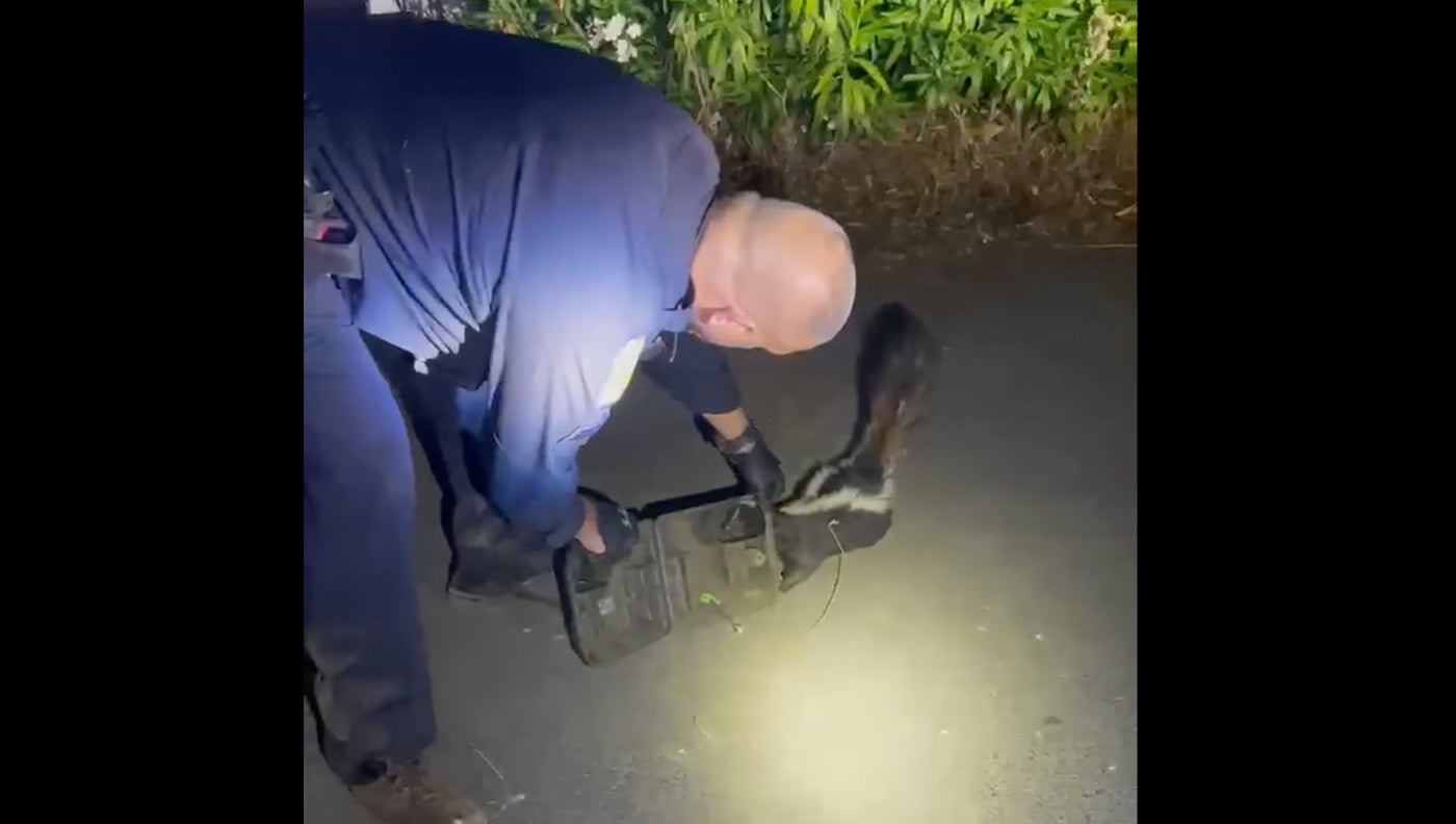 Police Officer Rescues Skunk Stuck in Tackle Box