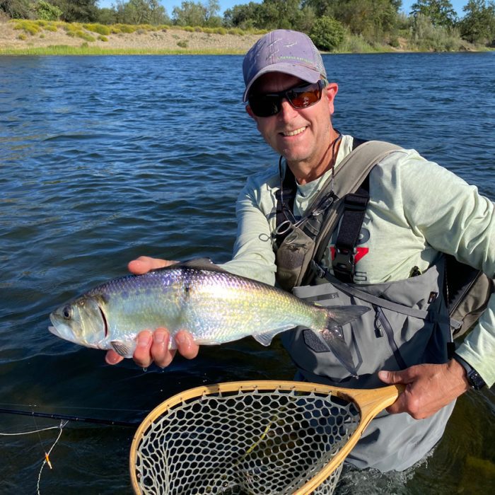 Pro Tips: How to Catch American River Shad