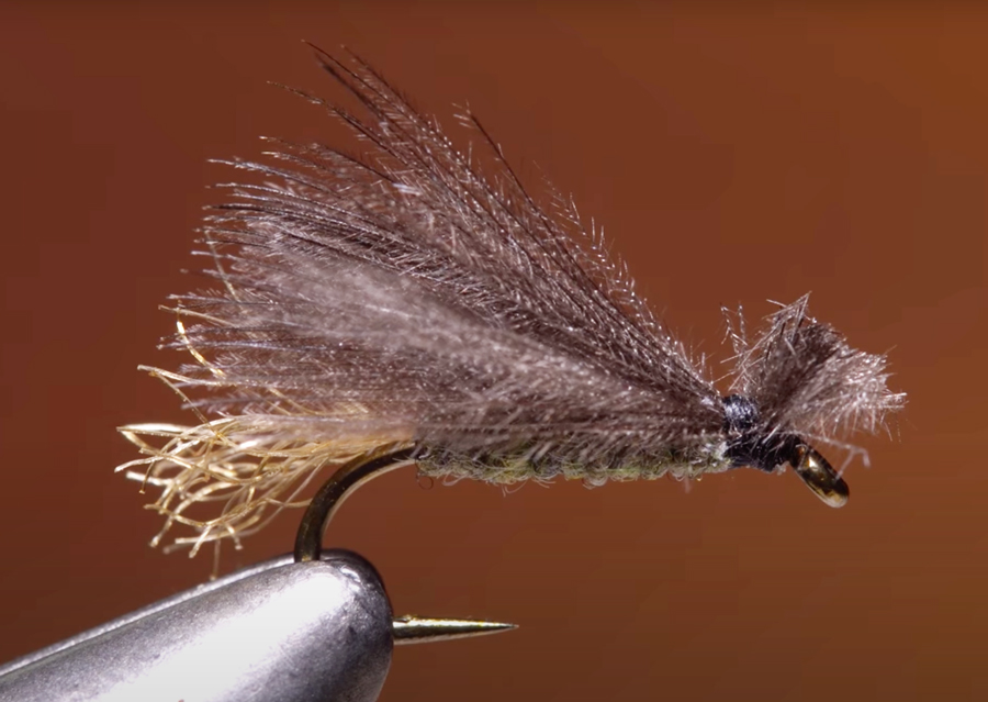 Video: How to Tie the Bighorn CDC X-Caddis