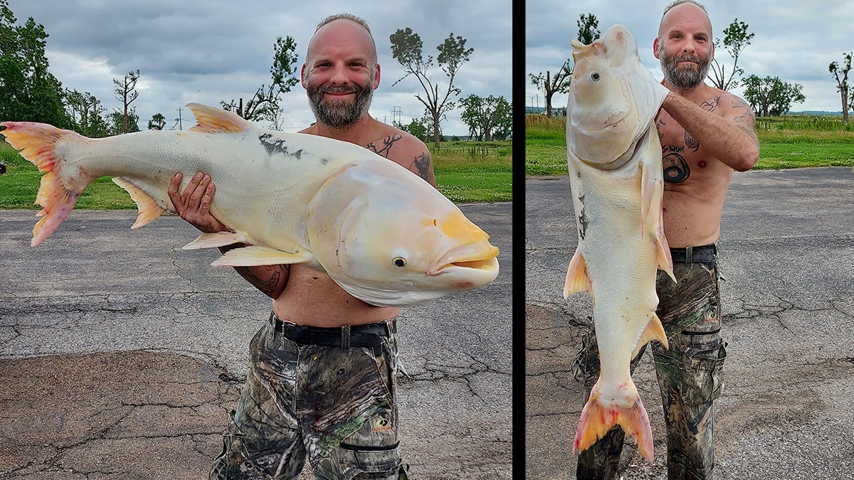 Tennessee Angler Catches Rare Leucistic Bighead Carp