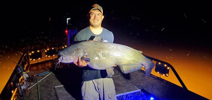 Virginia Bowfisherman Shoots State-Record Blue Catfish