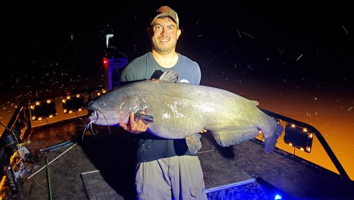 Bowfisherman Breaks Virginia State Record for Blue Catfish