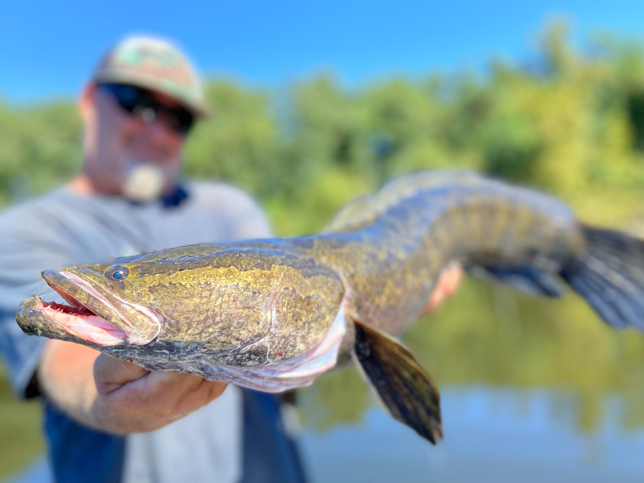Fishing Topwater Lures for Snakeheads