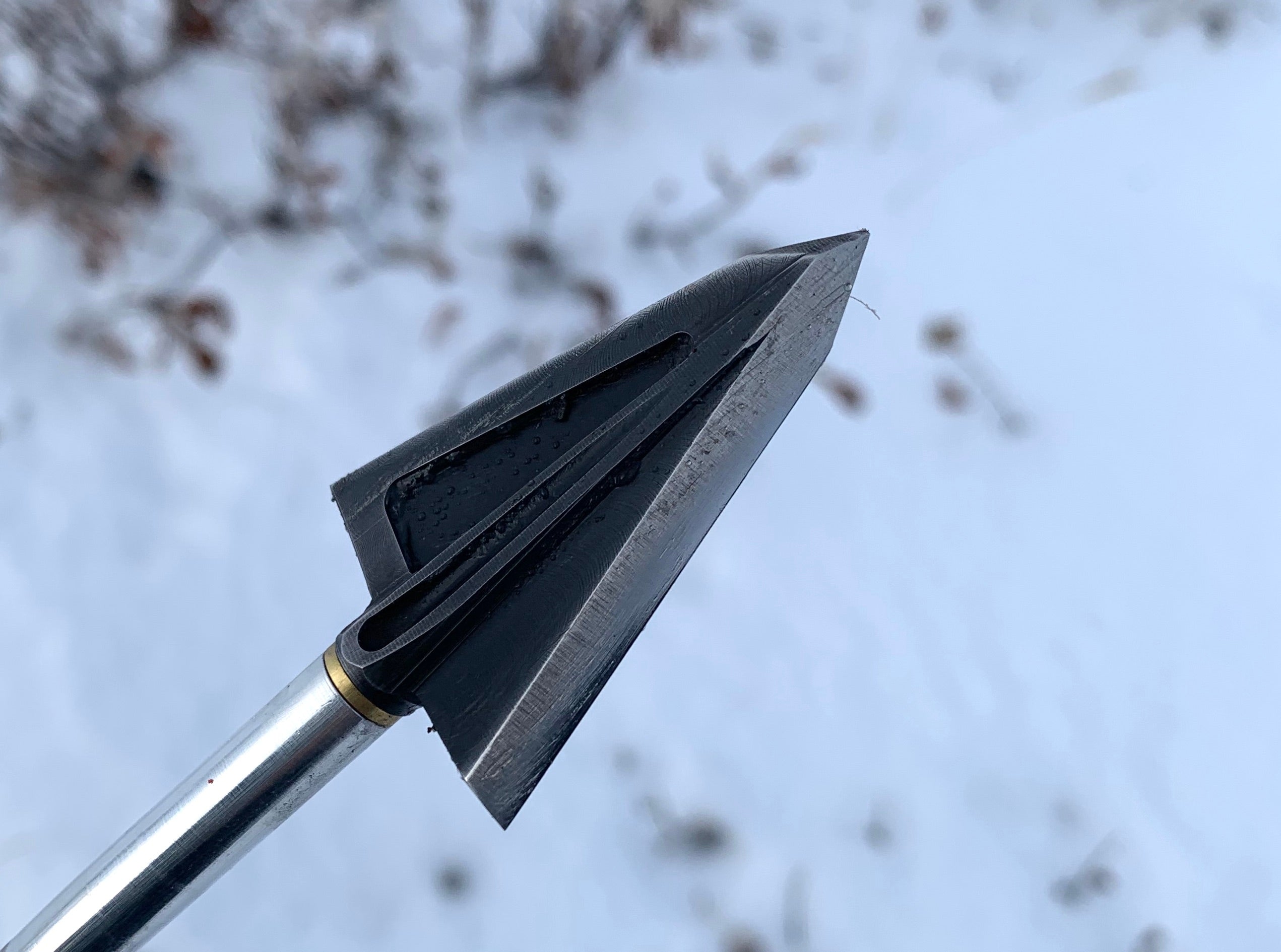 Single Bevel Broadheads What They Are and What They Do Everest News