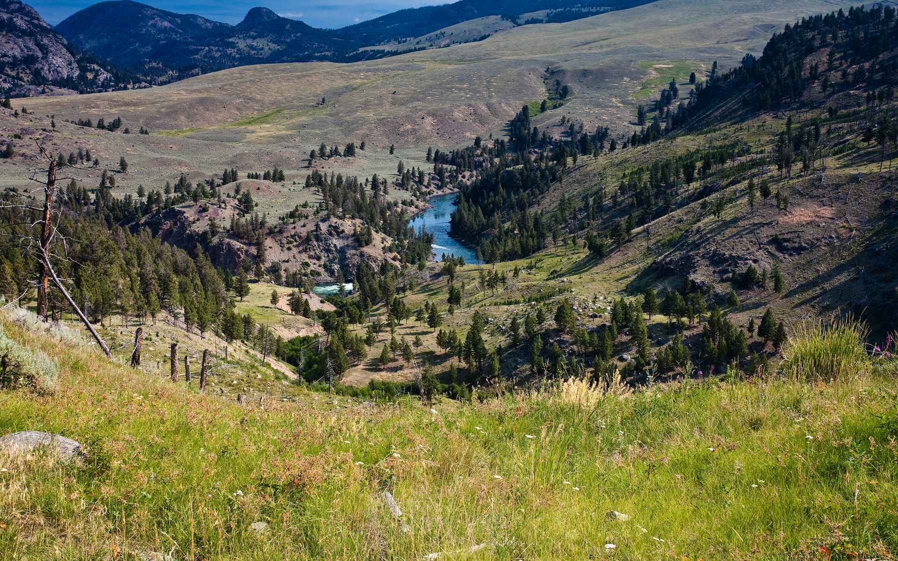 Yellowstone to reopen north loop July 2, increasing access for anglers | Hatch Magazine