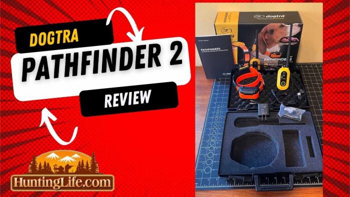 Dogtra Pathfinder 2 System Review