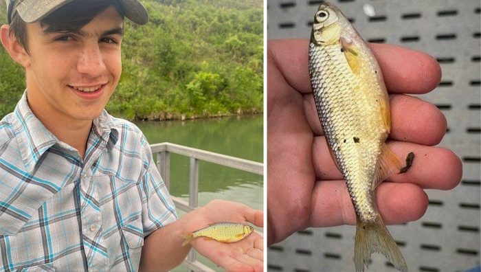 Montana Teen Catches State Record Shiner