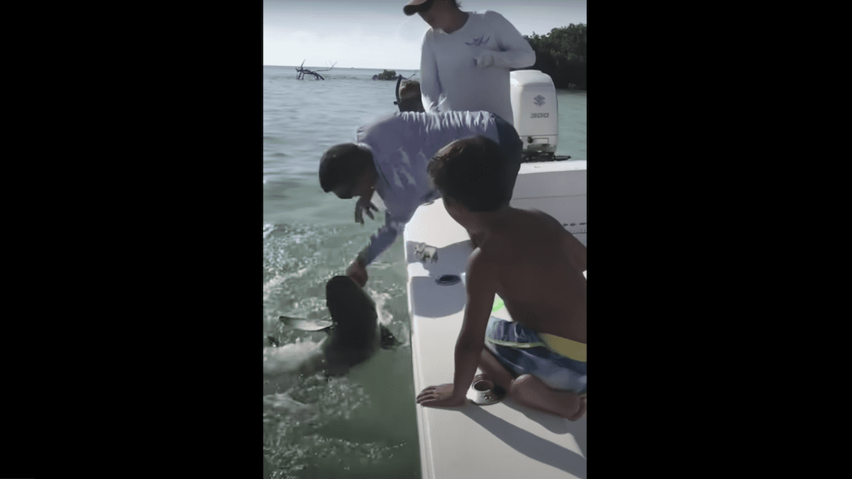 Watch: Shark Bites Florida Dad’s Pinky Off