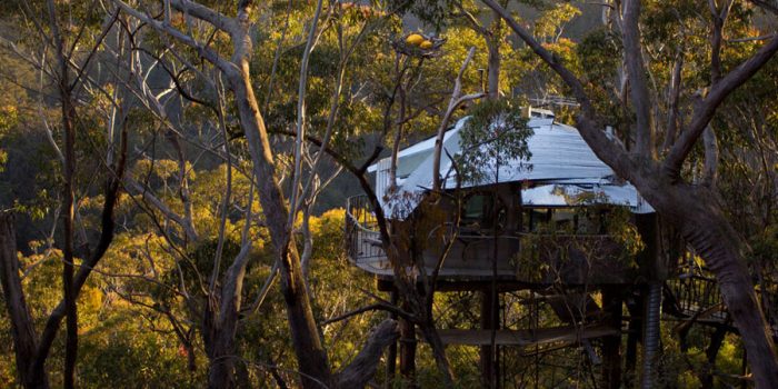 The Secret Treehouse Is a Hideout Fort for Grownups