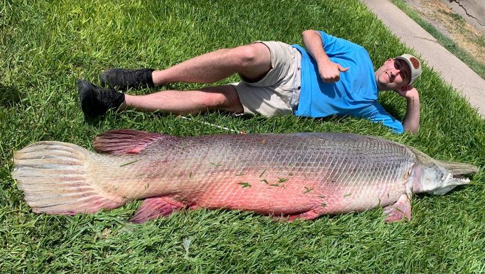 Bowfishermen Arrow Huge 271-Pound Alligator Gar in Texas