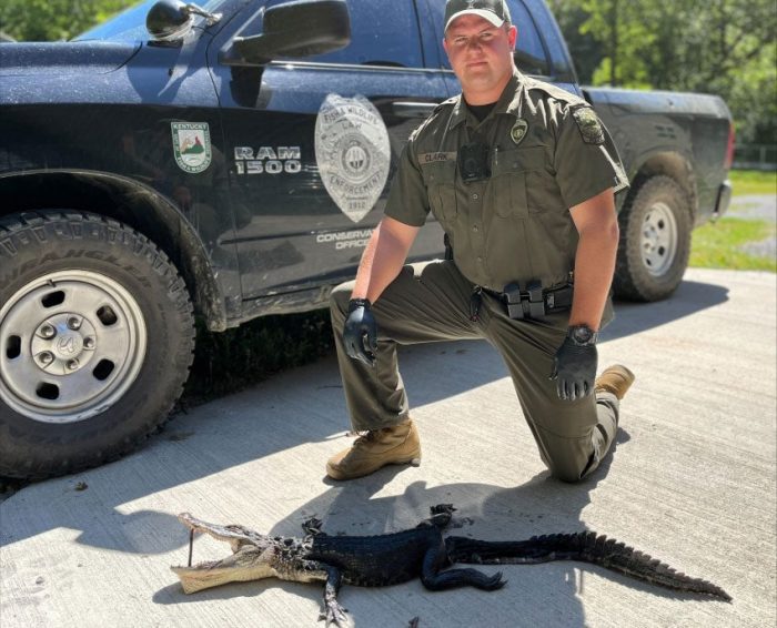 Kentucky Game Officers Confiscate the Gator of Greasy Creek