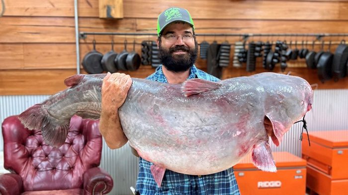 Mississippi Certifies New State Record Blue Catfish