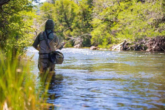 How to choose a fly rod for trout fishing | Hatch Magazine