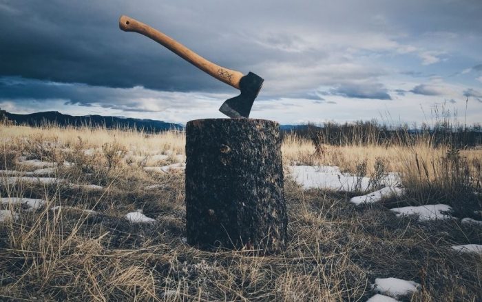 Best Axe: Camping, Tactical Axes & More