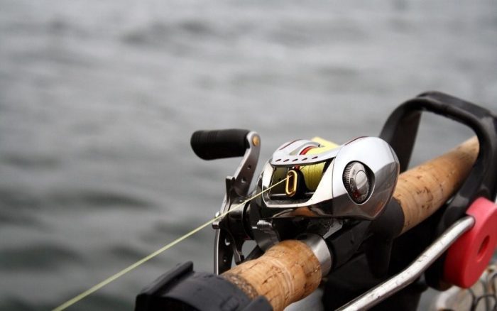 Best Daiwa Reels: Finest Daiwa Fishing Reels & Gear