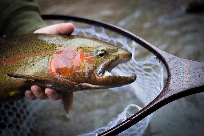 Best Fly Fishing Nets for 2022