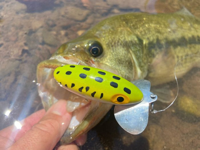 Classic Lures for Late Summer Bass