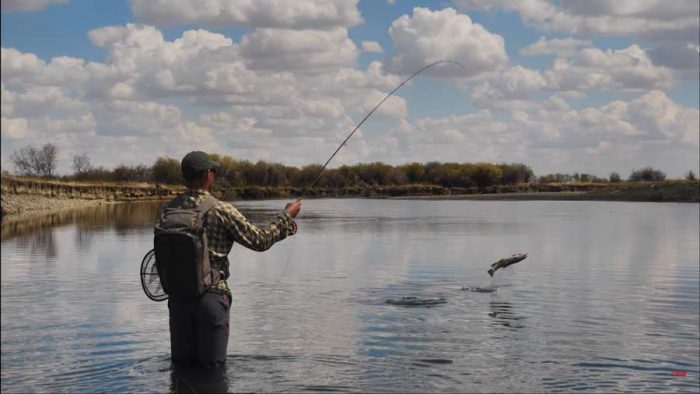 Video: How to Fish Flat Water Under a Bright Sun