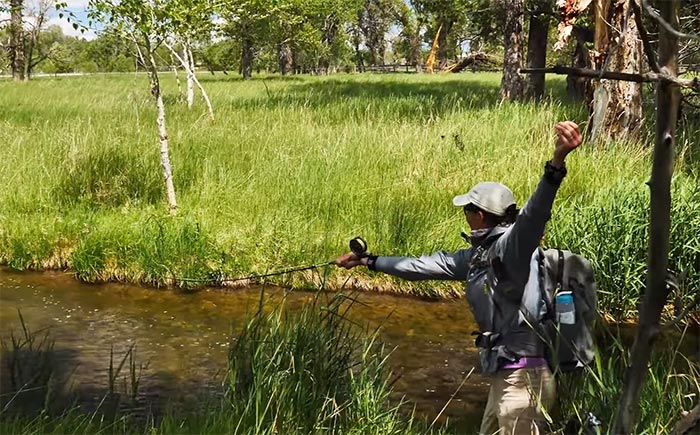 Master Class Monday: How To Improve Dry-Fly Accuracy on Small Trout Streams, Part 2