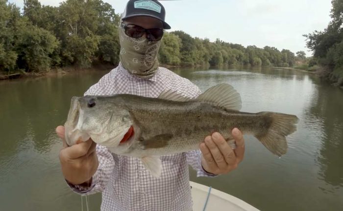 Video: How to Fly-Fish for Bass, Part I