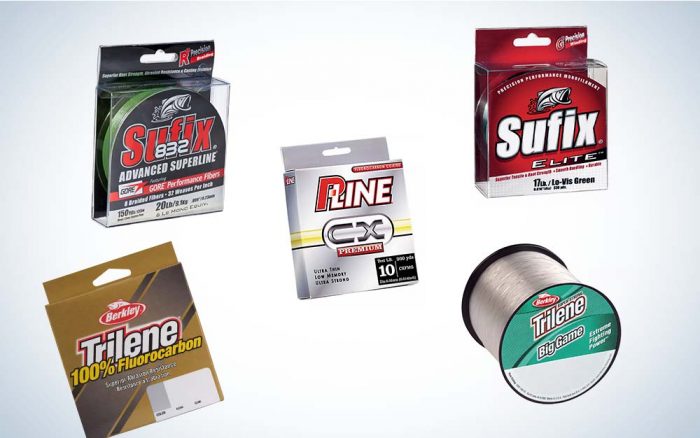 Best Fishing Lines for Bass of 2022