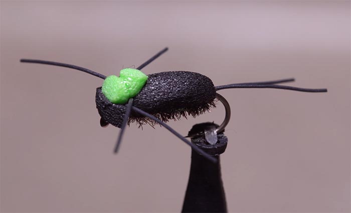 Video: How to Tie the Foam Beetle 2.0