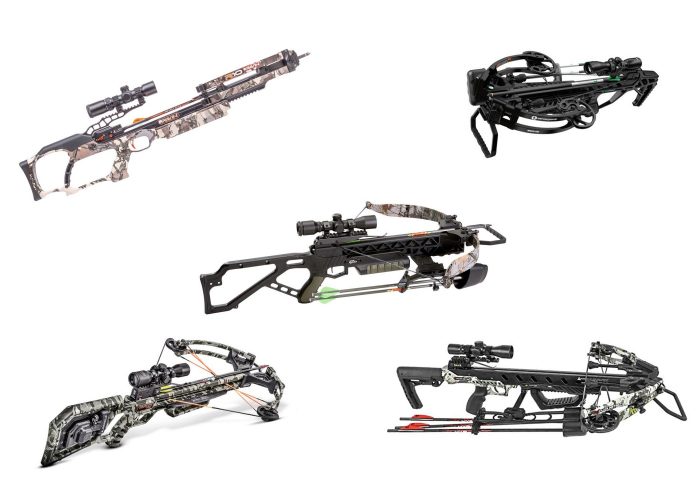Best Crossbow for the Money: Ravin, TenPoint, and More