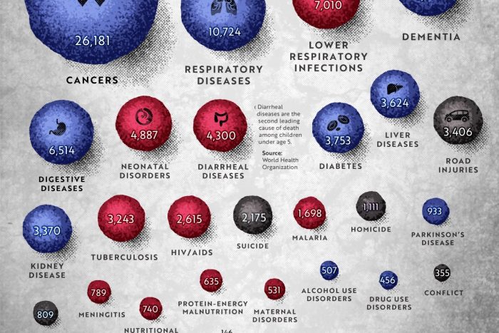 Infographic: The Most Common Causes of Death