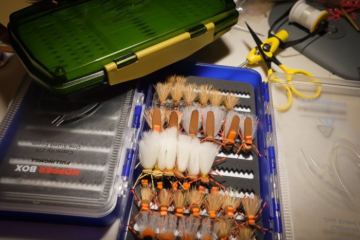 Best Dry Fly Boxes for 2022