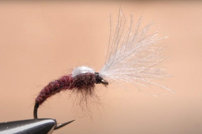 Video: How to Tie the Isonychia Smoke Jumper