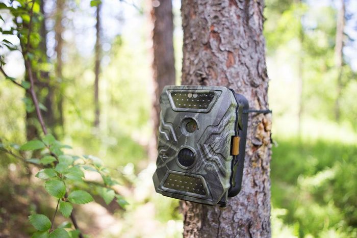 Can Game Wardens Hang Trail Cameras on Private Land?