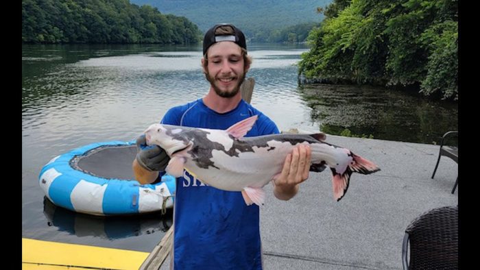 Tennessee Fisherman Catches Unusual Piebald Catfish