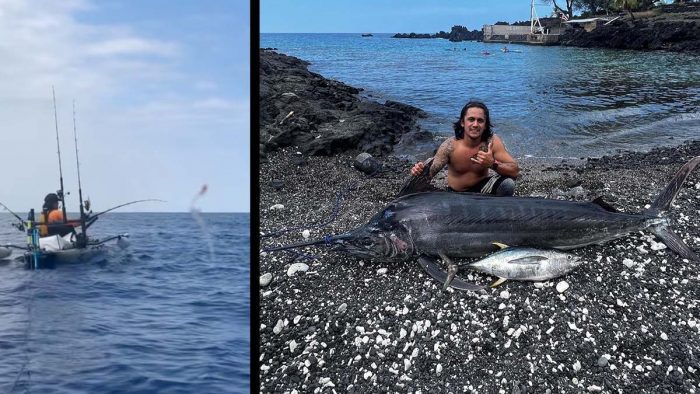 Hawaii Kayak Angler Catches 250-Pound Black Marlin