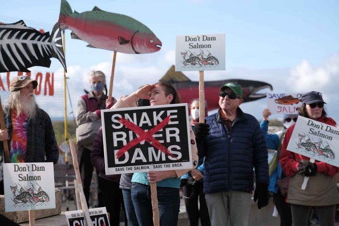 Will no one fight for Snake River steelhead and salmon? | Hatch Magazine