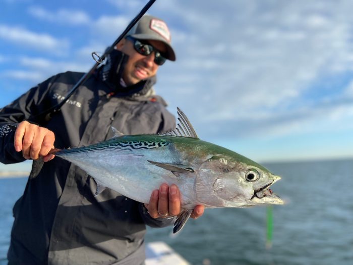 3 Tips on How to Catch False Albacore