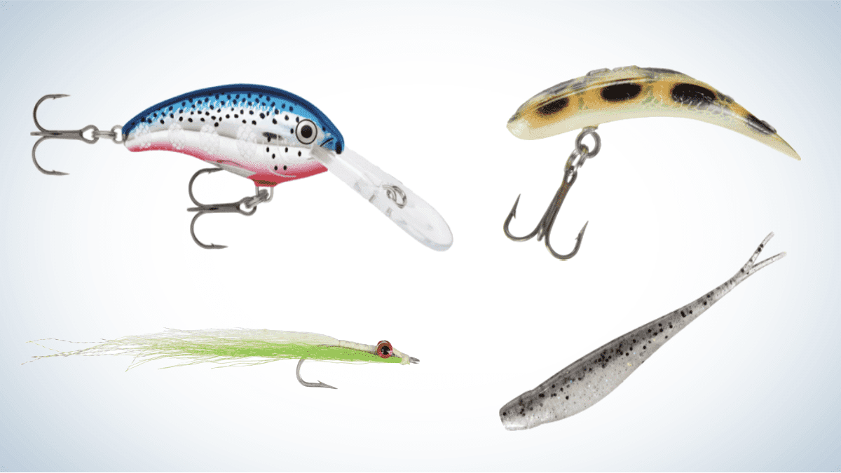 Best Lures for Lake Trout of 2022