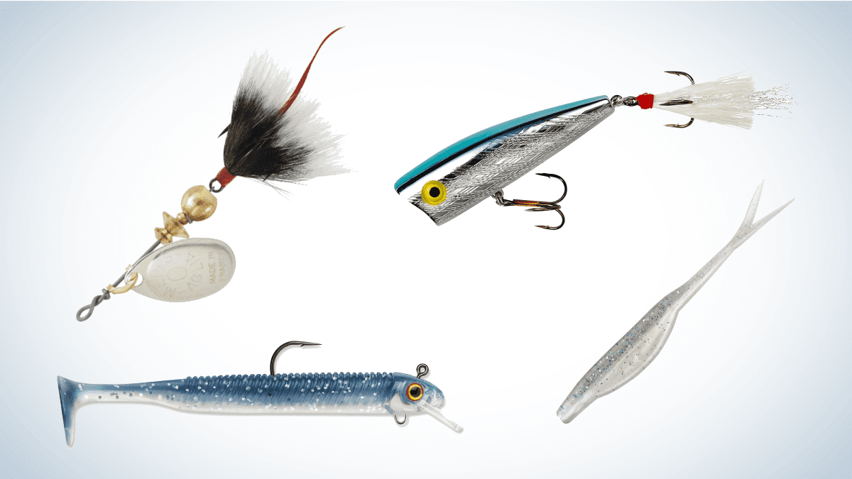 Best Lures for White Bass in 2022