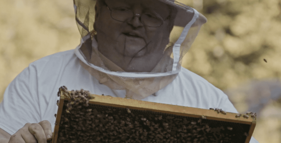 Eric and the Bees