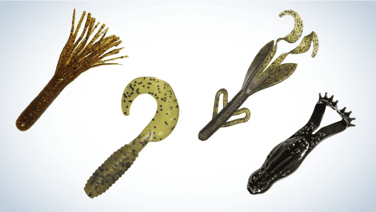 Best Soft Plastic Baits for Bass of 2022