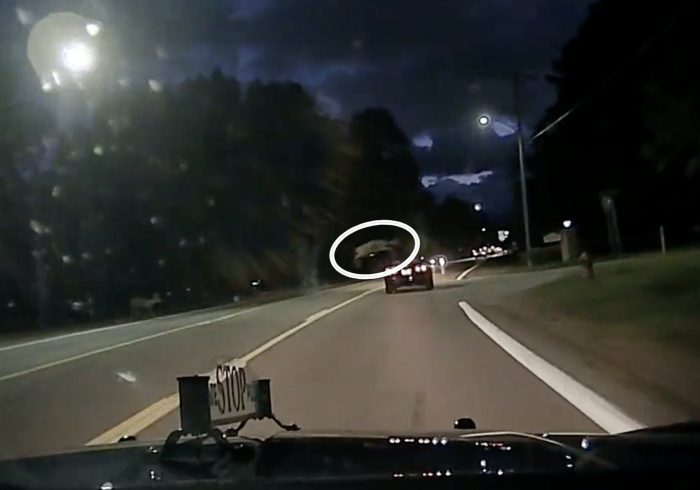 Michigan Police Footage Shows Deer Leaping Over Car