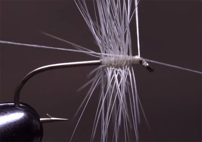 Video: How to Make a Neat Thread Head on a Fly