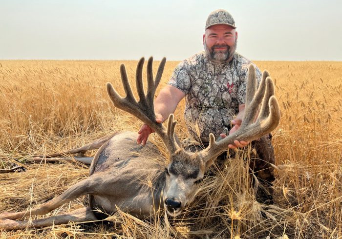 Saskatchewan Hunter Arrows Moose-Like Buck, Gets Heat Exhaustion