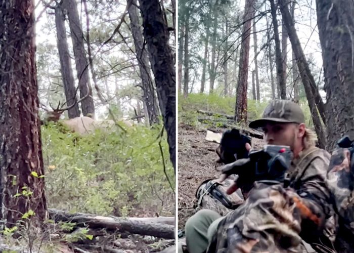 Video: Bowhunter Arrows Bull That Almost Rolls Into Cameraman